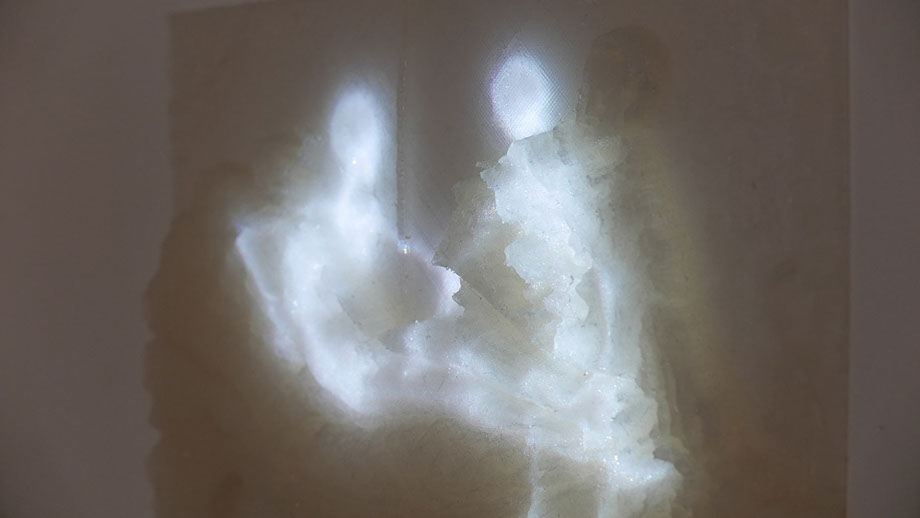 2016 Vanity fair State 05 Olympia Galerie Axiolotl, Toulon (F), "Où ce sera le règne enfin de tous les faux produits fabriqués, de tous les ignobles ersatz synthétiques où la belle nature vraie n'a que faire"02